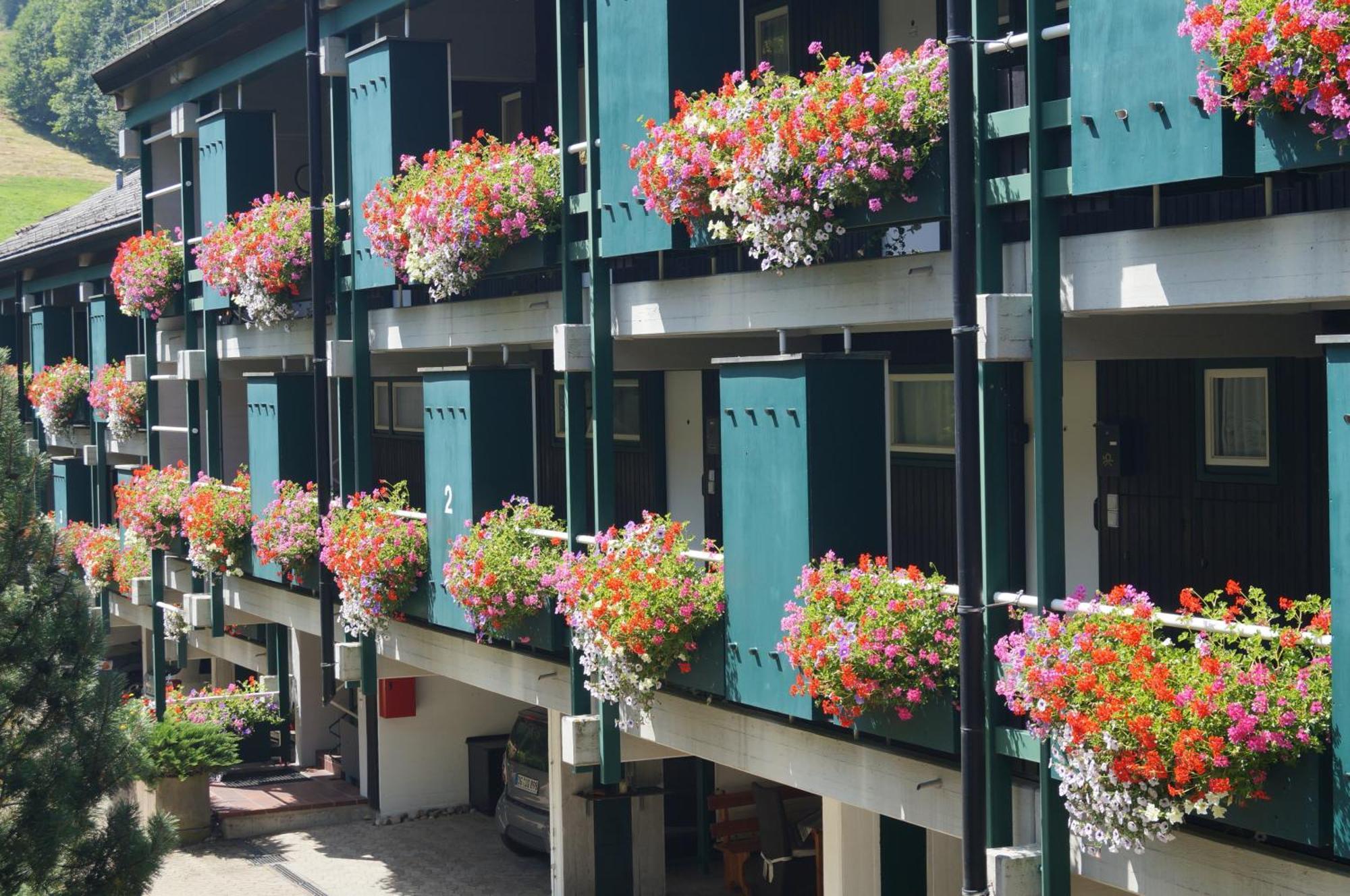 Terrassenpark Apartments Sasbachwalden Exterior photo